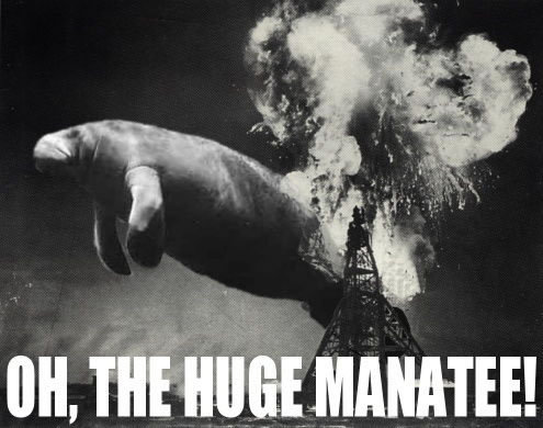 acdn.manhattanreefs.com_blog_wp_content_uploads_2012_07_oh_the_huge_manatee.jpg