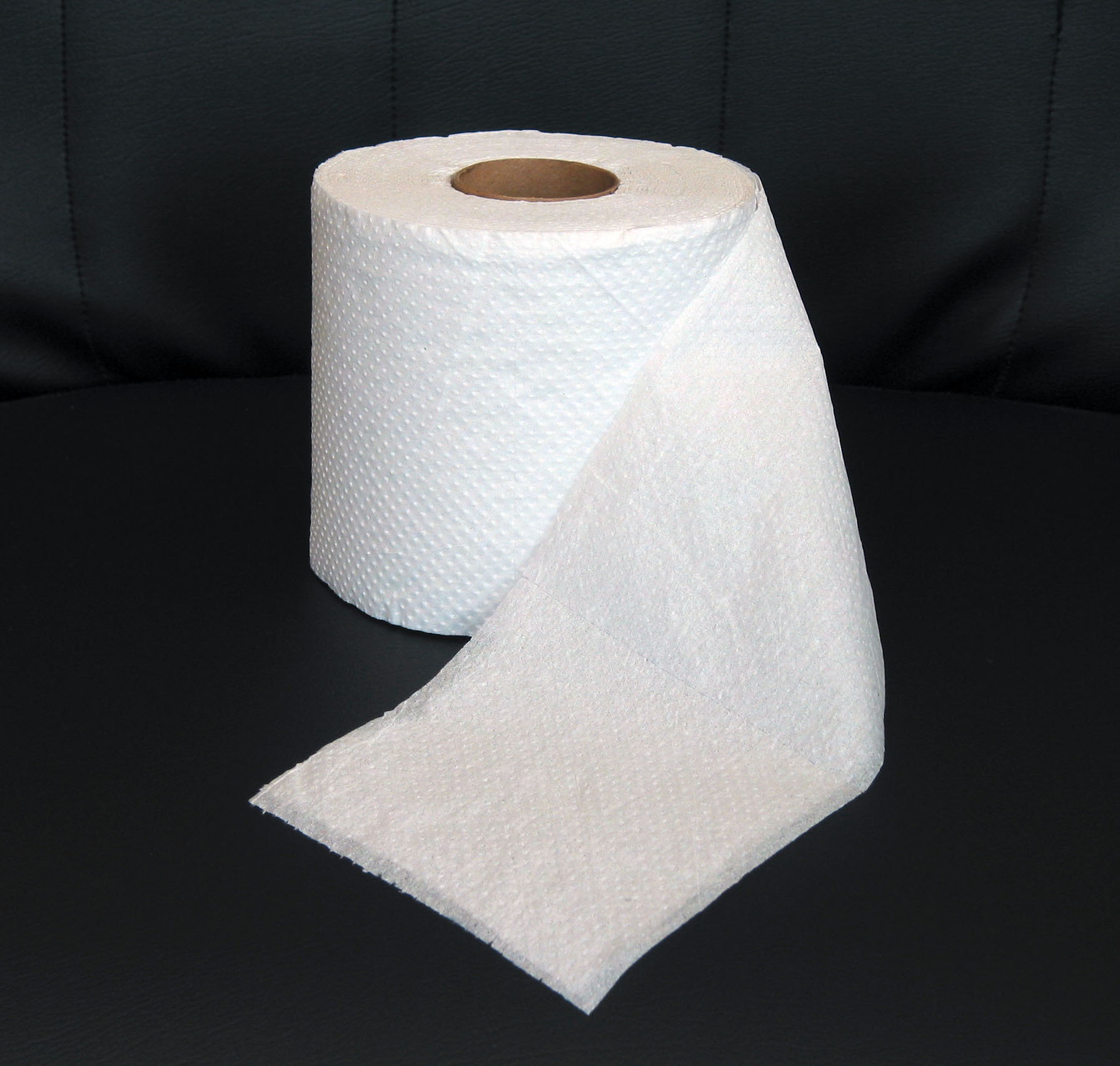 adebsawsome.files.wordpress.com_2010_04_toilet_paper.jpg