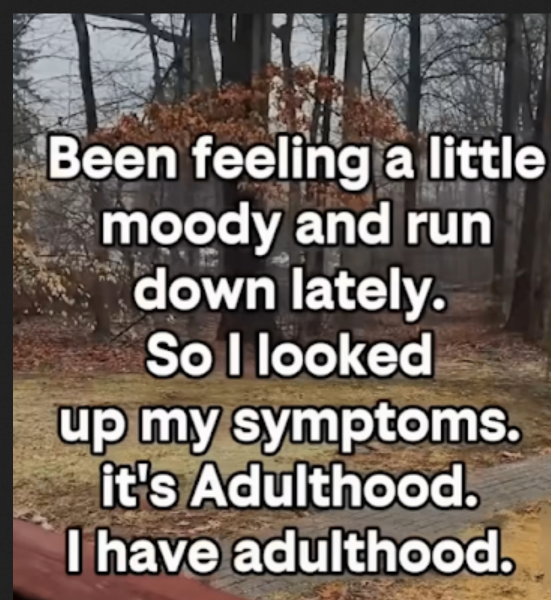 adult.png