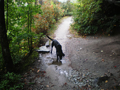 afarm3.static.flickr.com_2179_1891726356_3808512c15_m.jpg