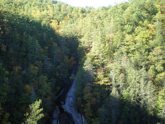 afarm3.static.flickr.com_2189_1891787898_c58fd74085_m.jpg