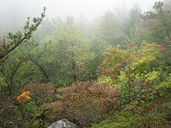 afarm3.static.flickr.com_2196_1890895259_b54311581d_m.jpg
