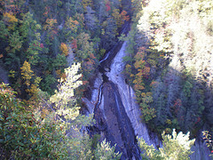 afarm3.static.flickr.com_2360_1891789776_2040bb6dba_m.jpg