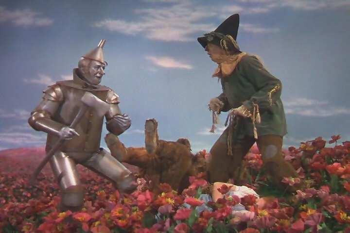 agoldenwestclothing.files.wordpress.com_2010_05_in_the_poppy_field_the_wizard_of_oz2.jpg