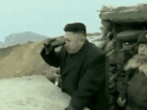 ai.imgur.com_Dw9813D.gif
