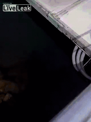ai.imgur.com_U2LQWzU.gif