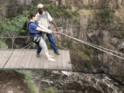 ai.imgur.com_XQ1AM07.gif