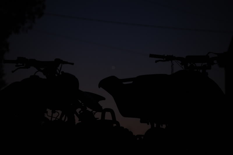 ai130.photobucket.com_albums_p275_nissan11_MXPE_203_2_08_DSC_0003.jpg