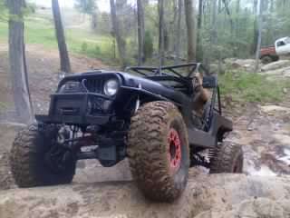 ai139.photobucket.com_albums_q298_jeepn_jason_083.jpg