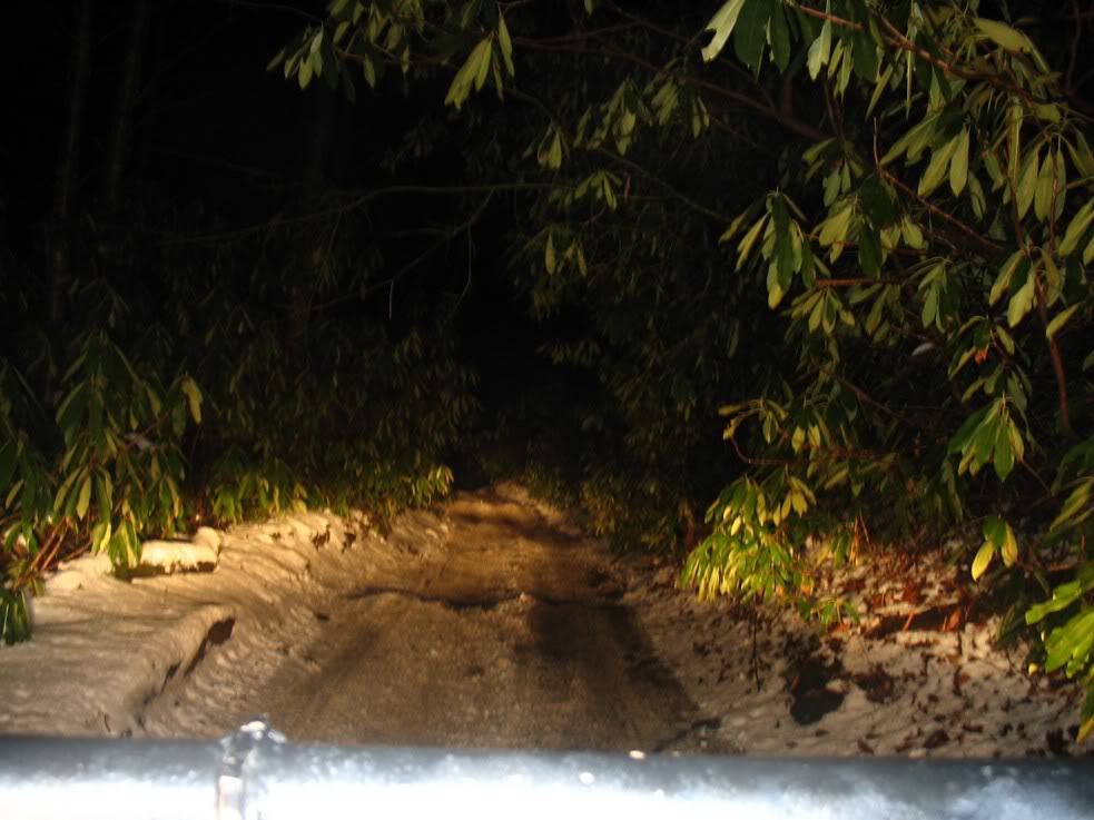 ai14.photobucket.com_albums_a349_Puma297_tellico_tellico33.jpg