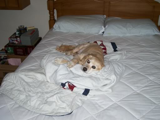 ai15.photobucket.com_albums_a353_Mr_DIY_100_0439.jpg