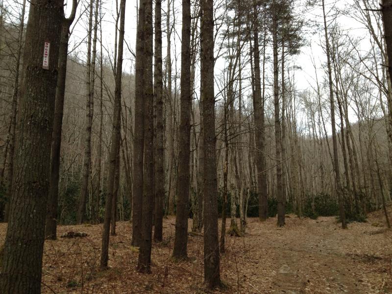 ai16.photobucket.com_albums_b25_xjghost_Hayesville__20Murphy_20434d4eb099aa7cc30dbbe2e8edab4ae.jpg