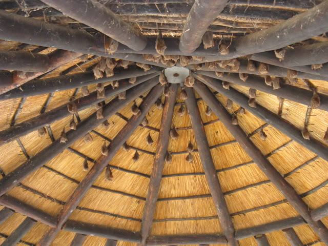 ai168.photobucket.com_albums_u182_turtlemechanic_Africa_20safa5bd41d30f89aeb0837c4c4634a481bb6.jpg