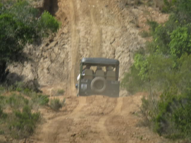 ai168.photobucket.com_albums_u182_turtlemechanic_Africa_20safabbf6e0635ac8a14a8f0f133d2df90aa7.jpg