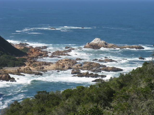 ai168.photobucket.com_albums_u182_turtlemechanic_Africa_20safac058850fa077f0d8814d30c89df382a2.jpg