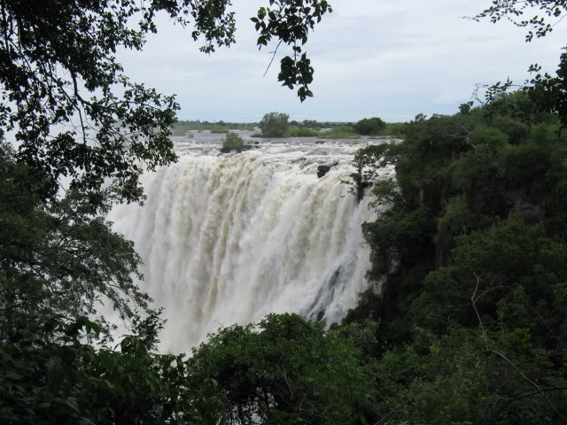ai168.photobucket.com_albums_u182_turtlemechanic_Africa_20safari_CAMERADLOAD170.jpg