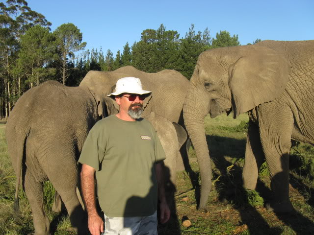 ai168.photobucket.com_albums_u182_turtlemechanic_Africa_20safari_elephant2.jpg