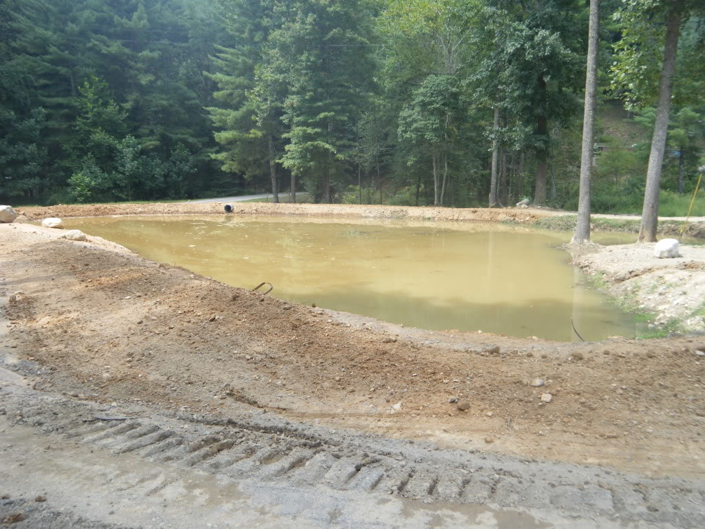 ai168.photobucket.com_albums_u182_turtlemechanic_calla_20update_pond1.jpg