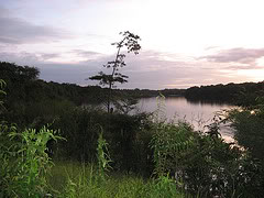 ai17.photobucket.com_albums_b60_1madmonk_2226801619_5e8f58a952_m.jpg
