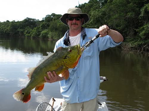 ai17.photobucket.com_albums_b60_1madmonk_peacockbass.jpg