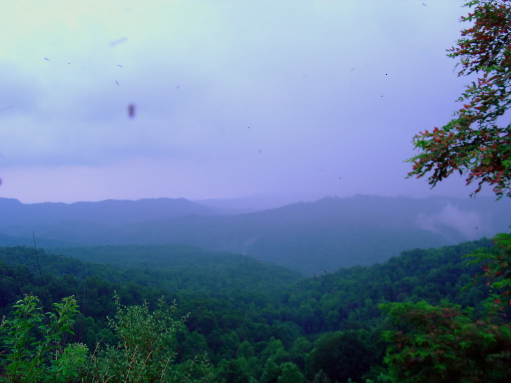 ai191.photobucket.com_albums_z10_mykalj_Places_wvcor08_DSC09439.jpg