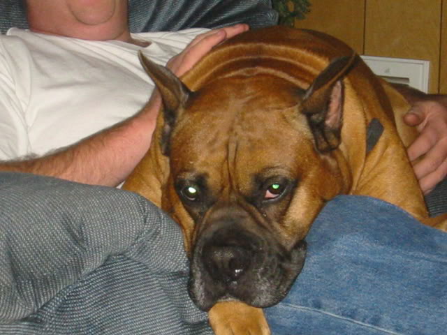 ai2.photobucket.com_albums_y1_2k4rubicon_hunterinlap008.jpg_b1bd53ce050961970a74735e656debf1.jpg