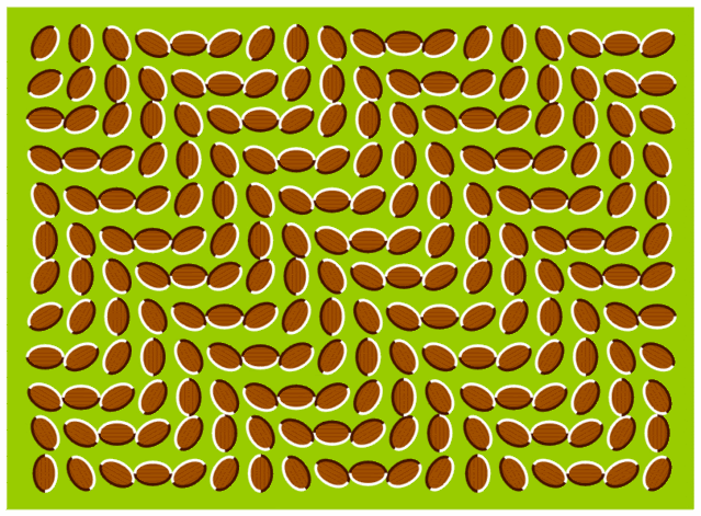 ai200.photobucket.com_albums_aa140_itachigirl_92_Optical_20Illusions_illusionwaves.gif