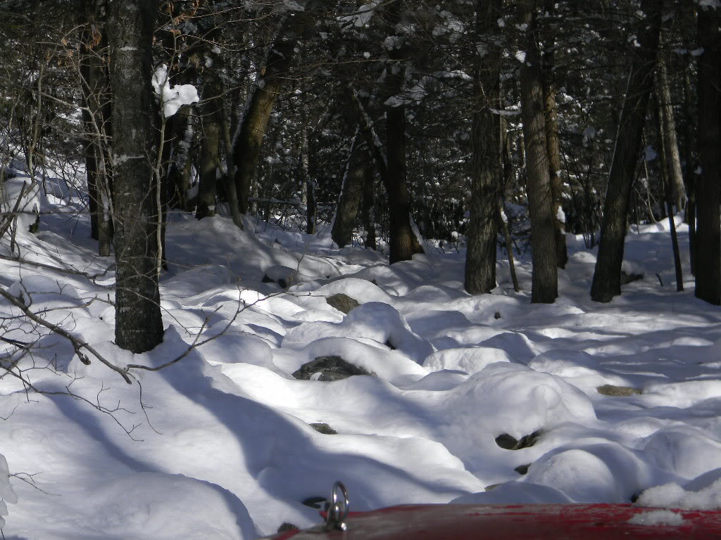 ai206.photobucket.com_albums_bb43_mom2maddy_photo_SnowwheelingCallalantee1_15_2010008.jpg
