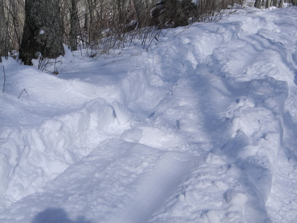 ai206.photobucket.com_albums_bb43_mom2maddy_photo_SnowwheelingCallalantee1_15_2010014.jpg