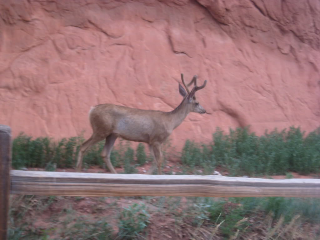 ai209.photobucket.com_albums_bb284_tlucier_Colorado_20Springs_20July_202011_IMG_0056.jpg