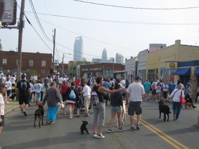 ai212.photobucket.com_albums_cc135_fisher_man_matt_Puppy_20Pic76df441bdc42daaf9636530aa46522b9.jpg