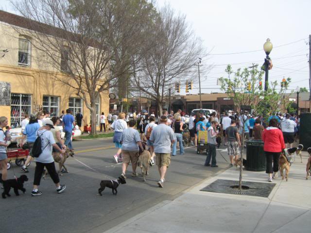 ai212.photobucket.com_albums_cc135_fisher_man_matt_Puppy_20Picdcaf02177d9dcbdc00f86e8119822302.jpg