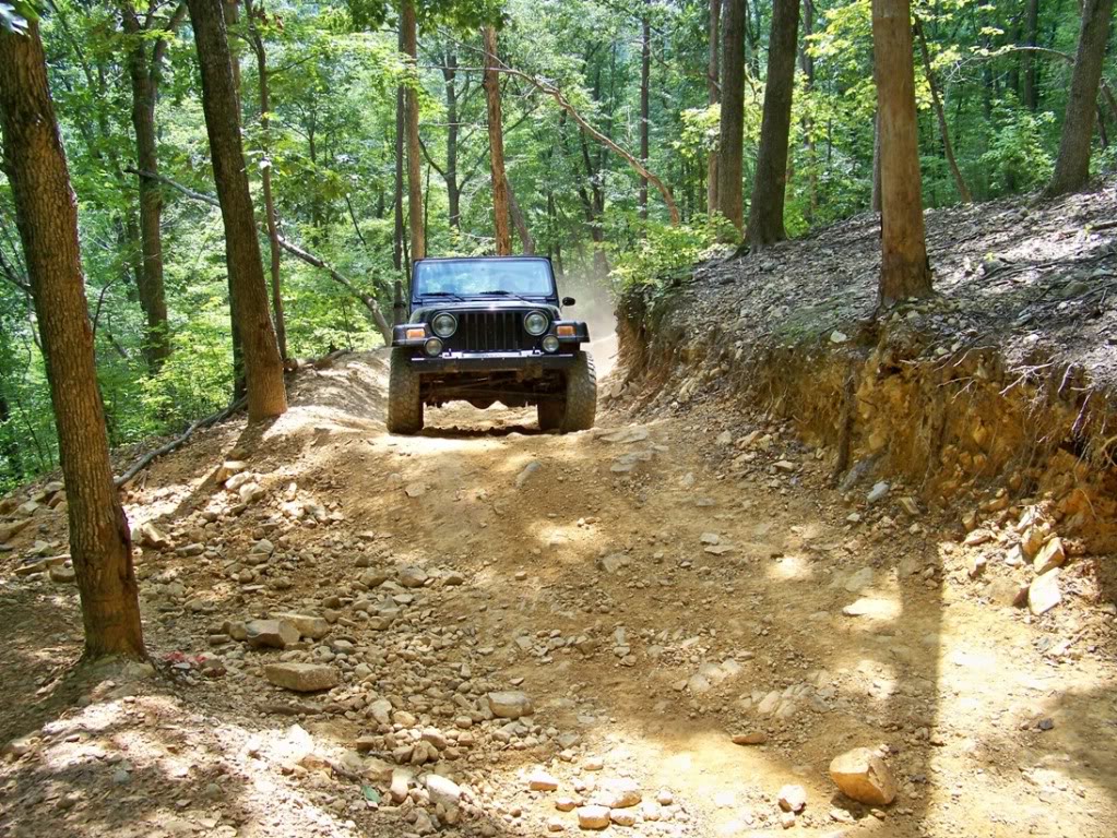 ai212.photobucket.com_albums_cc201_elrojogrande_Uwharrie_August_2010_2_100_1870.jpg