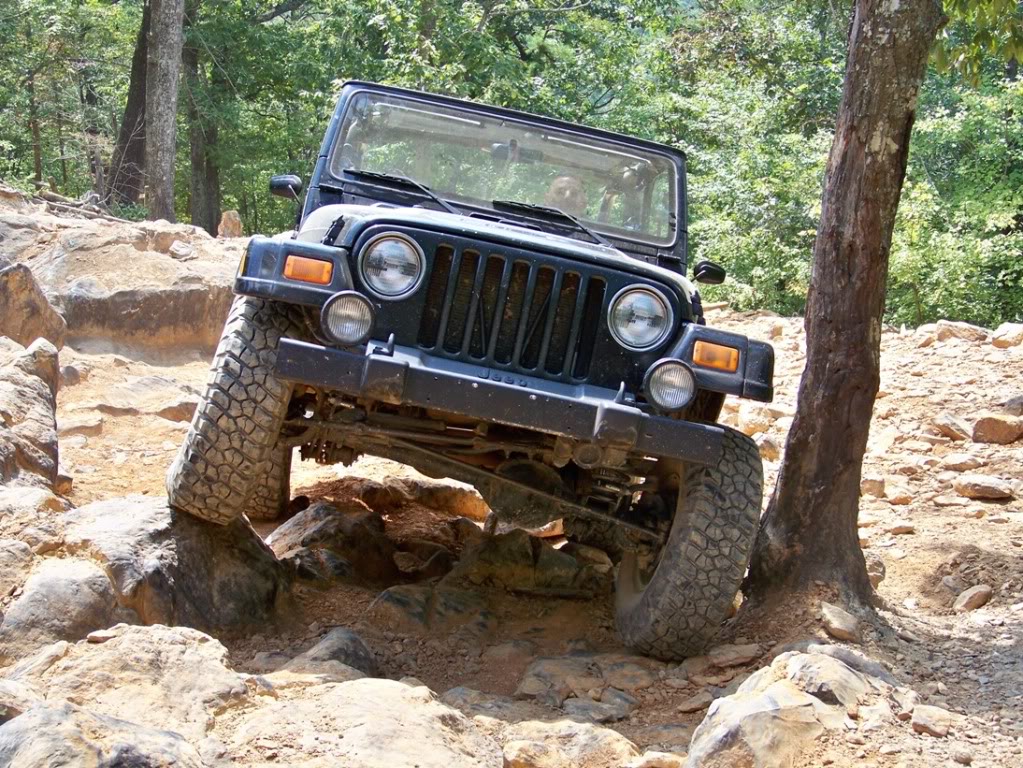 ai212.photobucket.com_albums_cc201_elrojogrande_Uwharrie_August_2010_2_100_1878.jpg