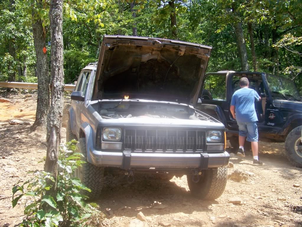 ai212.photobucket.com_albums_cc201_elrojogrande_Uwharrie_August_2010_2_100_1899.jpg