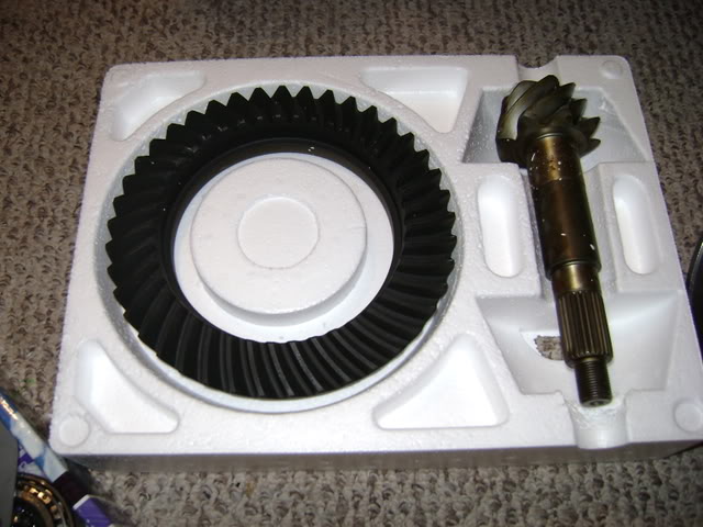 ai215.photobucket.com_albums_cc27_fmtndrummer_DSC00466.jpg