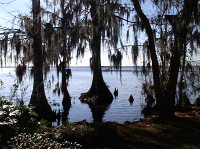 ai22.photobucket.com_albums_b327_tdowless_LAKEWACCAMAW011.jpg