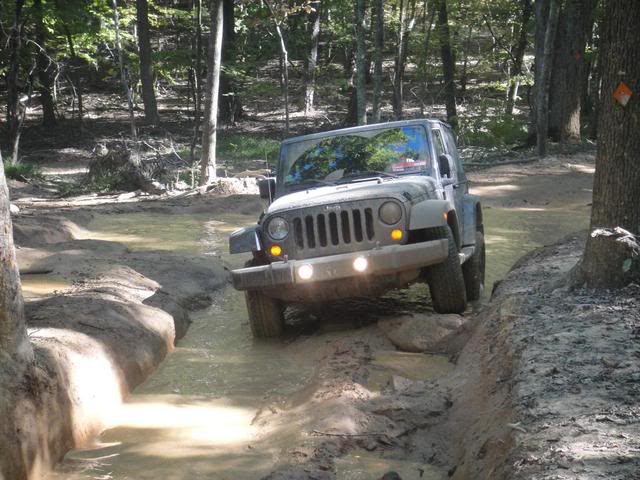 ai225.photobucket.com_albums_dd111_manofwar012_Uwharrie_2010_9_097.jpg