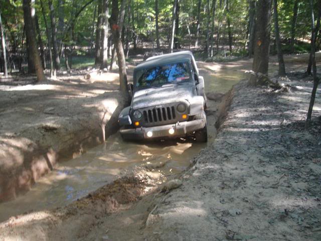 ai225.photobucket.com_albums_dd111_manofwar012_Uwharrie_2010_9_098.jpg