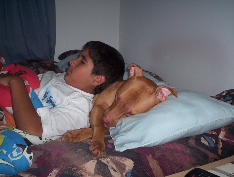 ai23.photobucket.com_albums_b376_toriwill2_100_0342.jpg