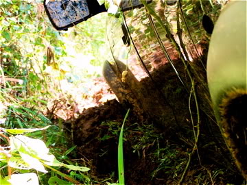 ai232.photobucket.com_albums_ee262_maxx5905_000_0373.jpg
