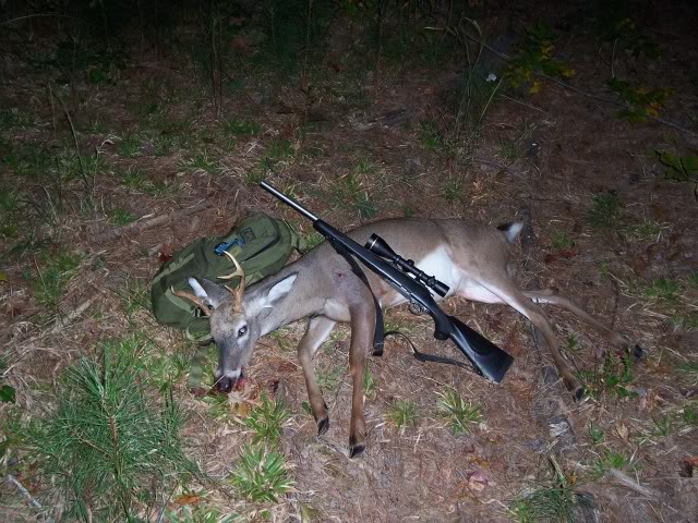 ai256.photobucket.com_albums_hh172_biggadget_Deer_101_1237.jpg