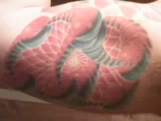 ai263.photobucket.com_albums_ii148_cgm147_phonepics006.jpg