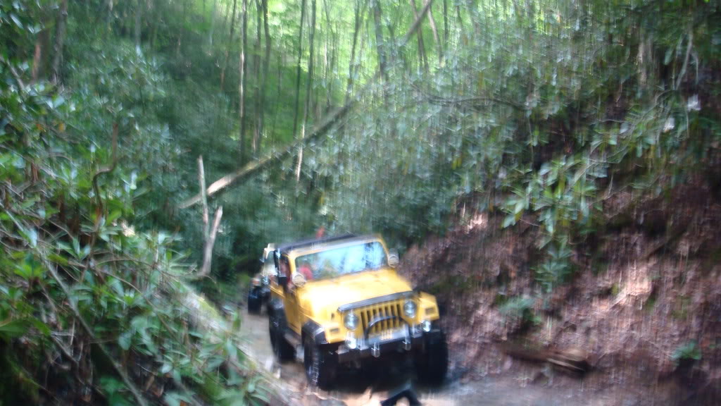 ai298.photobucket.com_albums_mm279_burrellsjeep_008_10.jpg_80f43118c1f4a25fb702a75b61541a4a.jpg