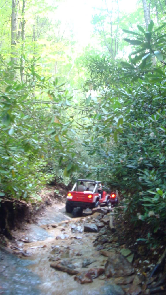 ai298.photobucket.com_albums_mm279_burrellsjeep_009_10.jpg_7a88b606684844ae7ff6dfafcb582598.jpg