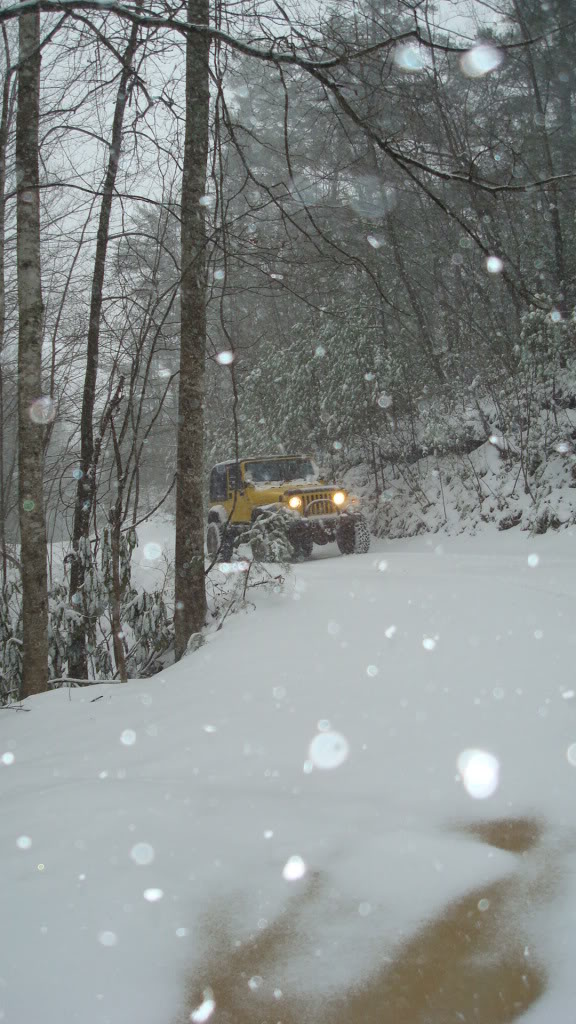 ai298.photobucket.com_albums_mm279_burrellsjeep_010_11.jpg