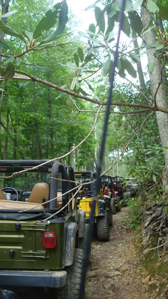 ai298.photobucket.com_albums_mm279_burrellsjeep_019_2.jpg_eb7279fb459f911be84428602f72d134.jpg