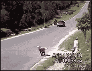 ai35.tinypic.com_1zntsaf.gif