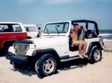 ai36.photobucket.com_albums_e50_jeepin1995_littlefrank.jpg