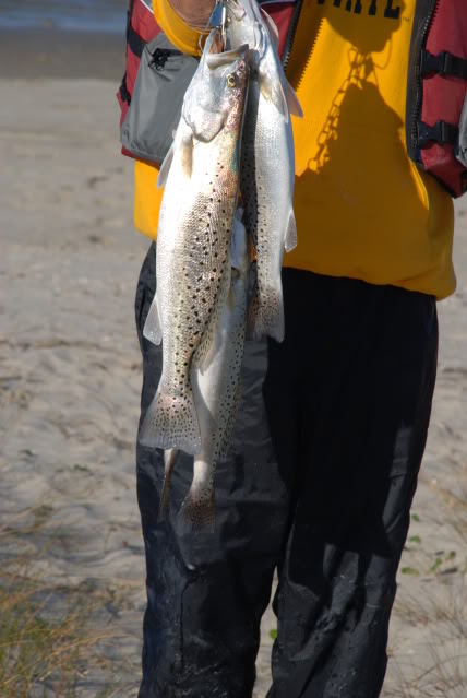 ai39.photobucket.com_albums_e151_OZZYBIRD_OakIslandtrout032.jpg